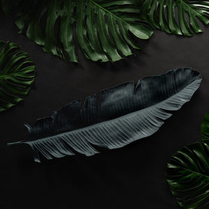 Jamie Young Co. Feather Object 7FEAT-LGBK