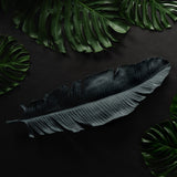 Jamie Young Co. Feather Object 7FEAT-LGBK