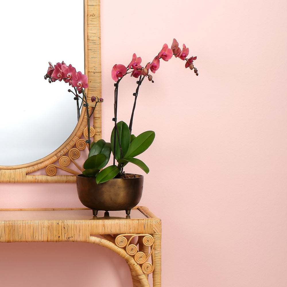 Jamie Young Co. Relic Large Footed Bowl 7RELI-LGAB