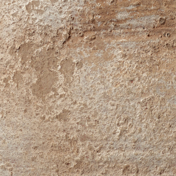 Jamie Young Co. Root Decorative Vase 7ROOT-VABE