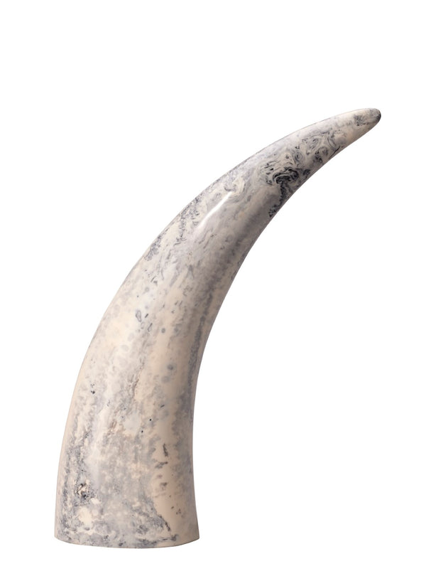 Jamie Young Co. Varigated Horn Decorative Objects 7VARI-OBGR