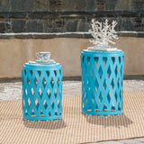 Selen Outdoor Small and Large Matte Blue Iron Side Table Set Noble House