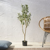Taos 4' x 1.5' Artificial Olive Tree, Green Noble House