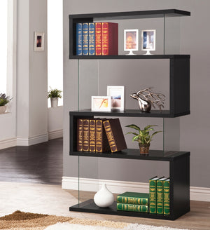 Modern 4-tier Bookcase and Clear