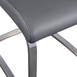 Lexington Side Chair in Gray and Brushed Stainless Steel - Set of 2