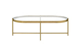 Charrot Contemporary Coffee Table Clear Glass & Gold Finish 82305-ACME