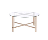 Veises Contemporary Coffee Table