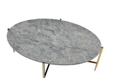 Tainte Contemporary Coffee Table Faux Marble & Champagne Finish 83475-ACME