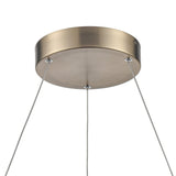 Fashionista 24'' Wide LED Pendant - Bronze