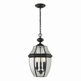 Ashford 12'' Wide 3-Light Outdoor Pendant - Black