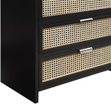 Sage Ash Veneer / Natural Cane / Rubberwood / Metal Contemporary Black Chest - 32" W x 18" D x 48" H