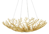 Sea Fan Bowl Chandelier