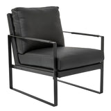 Bettina Lounge Chair in Black Leather with Black Frame