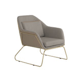 Modern Metal Sled Leg Accent Chair