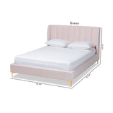 Baxton Studio Saverio Glam and Luxe Light Pink Velvet Fabric Upholstered Queen Size Platform Bed with Gold-Tone Legs