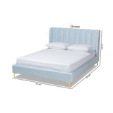 Baxton Studio Saverio Glam and Luxe Light Blue Velvet Fabric Upholstered Queen Size Platform Bed with Gold-Tone Legs