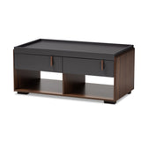 Rikke Modern and Contemporary Two-Tone Gray and Walnut Finished Wood 2-Drawer Coffee Table