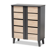 Melle Modern and Contemporary Two-Tone Oak Brown and Dark Gray 2-Door Wood Entryway Shoe Storage Cabinet