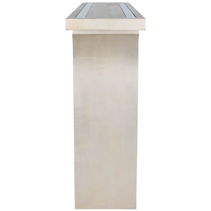Butler Specialty Katya Silver & Mirrored Console Table 9201345