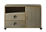 Jennavieve Industrial Cabinet Gold Aluminum (Brass Aluminum) 92551-ACME