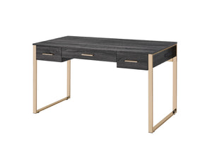 Perle Industrial Writing Desk with USB Port Champagne Gold & Black Finish 92715-ACME