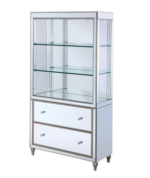 Dominic Glam Bookcase LED & Mirrored 92850-ACME