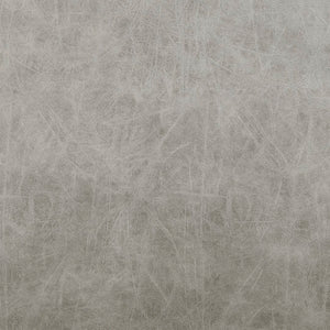 New Pacific Direct Jayden PU Dining Side Chair - Set of 2 9300126-239-NPD