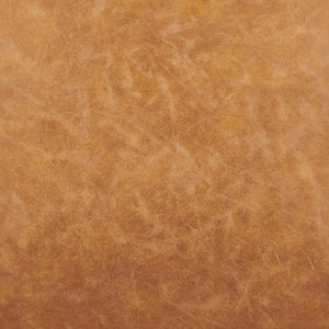 New Pacific Direct Jayden PU Dining Side Chair - Set of 2 9300126-309-NPD