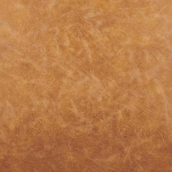 New Pacific Direct Jayden PU Dining Side Chair - Set of 2 9300126-309-NPD