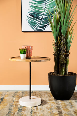 Casual Round Wooden Top Accent Table Natural and White