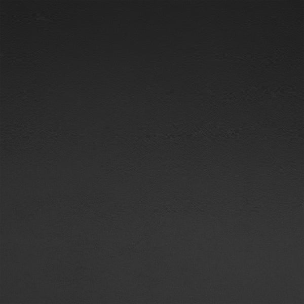 Matias Lounge Chair in Black with Matte Black Legs