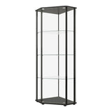 Modern Glass Shelf Curio Cabinet Clear and Black