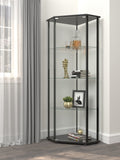 Modern Glass Shelf Curio Cabinet Clear and Black