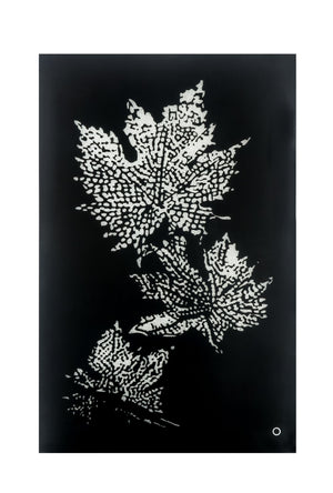 Talisha Glam Wall Art with LED Smoky Glass () • Faux Crystal (PER Jim) 97716-ACME