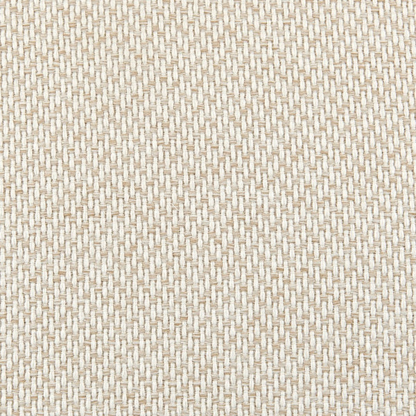 New Pacific Direct Ethan Fabric Dining Side Chair 9900079-276-NPD