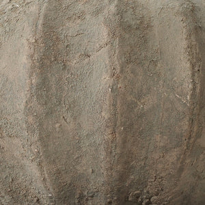 Jamie Young Co. Clamshell Table Lamp 9CLAMSHELLSA