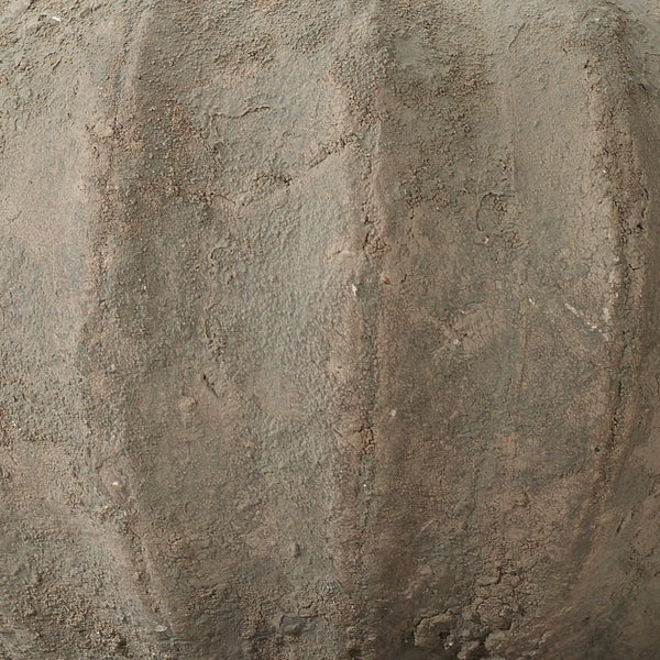 Jamie Young Co. Clamshell Table Lamp 9CLAMSHELLSA