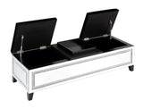 Noralie Glam Bench with Storage  AC00533-ACME