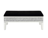 Noralie Glam Bench with Storage  AC00535-ACME