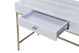 Piety Contemporary Vanity Desk Silver Crocodile PU Top () •Champagne Metal Stand AC00893-ACME