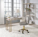 Tyeid Contemporary Vanity Desk with USB Antique White & Gold Finish AC00898-ACME