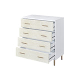 Myles Contemporary Chest  AC00958-ACME