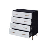 Myles Contemporary Chest  AC00959-ACME