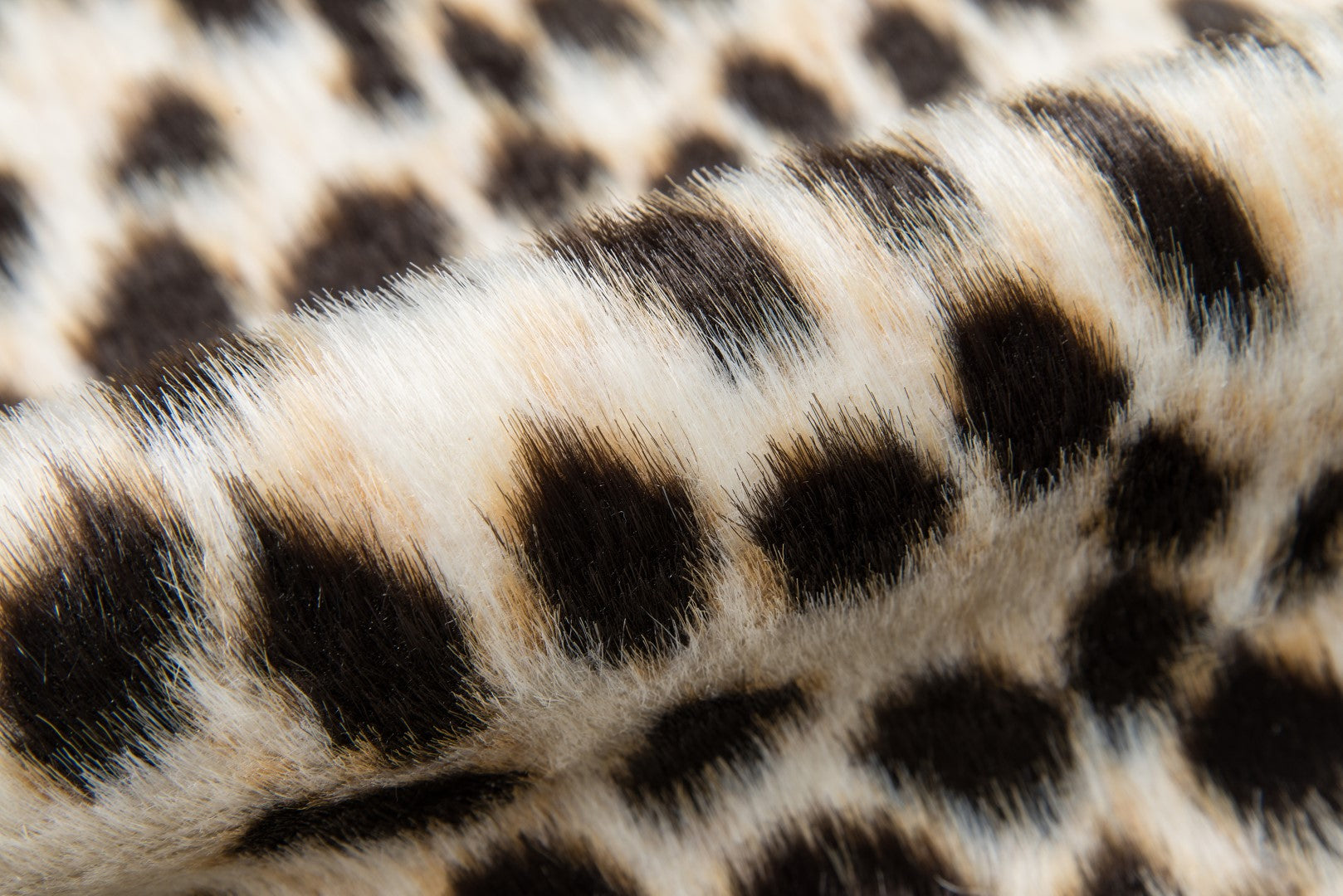 Momeni Erin Gates Acadia Area Rug - Thumbnail 2