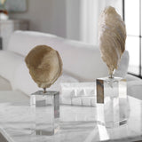 Uttermost Oyster Shell Sculptures - Set of 2