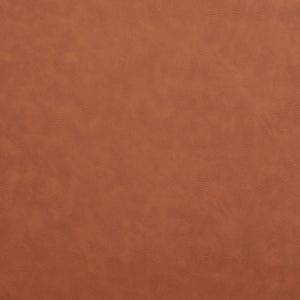 Safavieh Auggie Arm Chair  ACH5104B