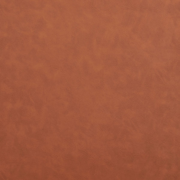 Safavieh Auggie Arm Chair  ACH5104B