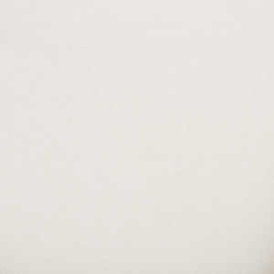 Safavieh Ezro Upholstered Accent Chair  ACH5105A