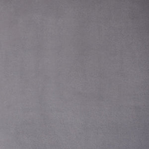 Safavieh Camille Side Chair ACH6201E-SET2