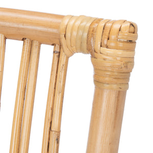 Safavieh Erika Rattan Accent Chair with Cushion - Set of 2 ACH6511B-SET2